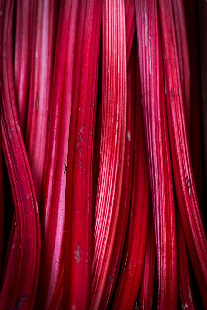 Rhubarb fruit